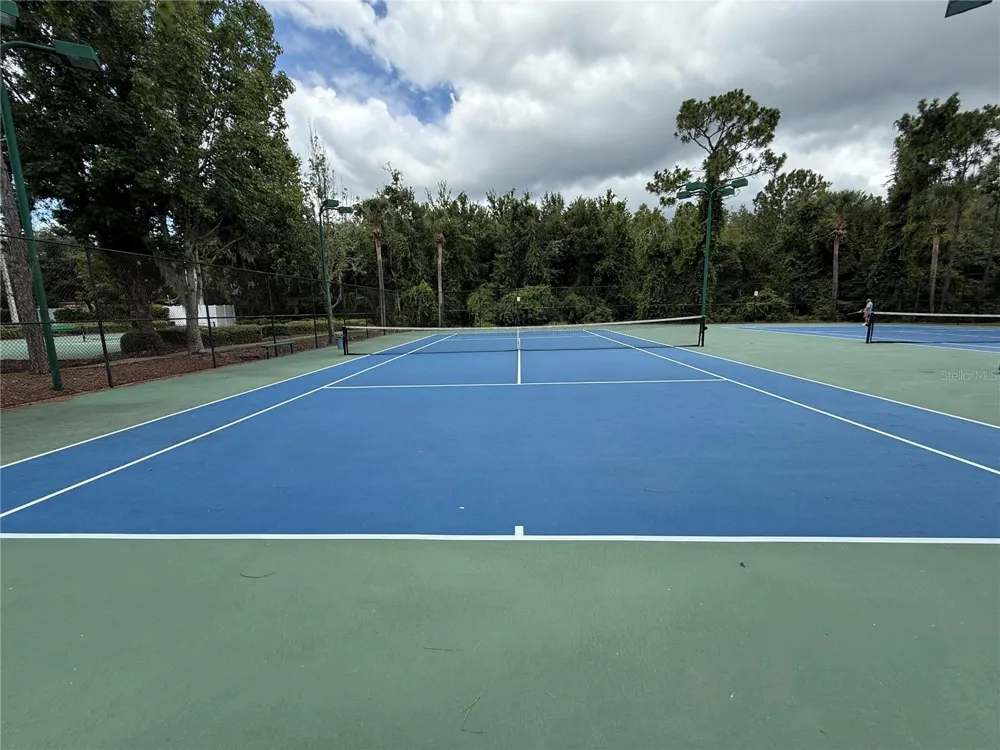 30316 ELDERWOOD DRIVE Wesley Chapel, FL 33543