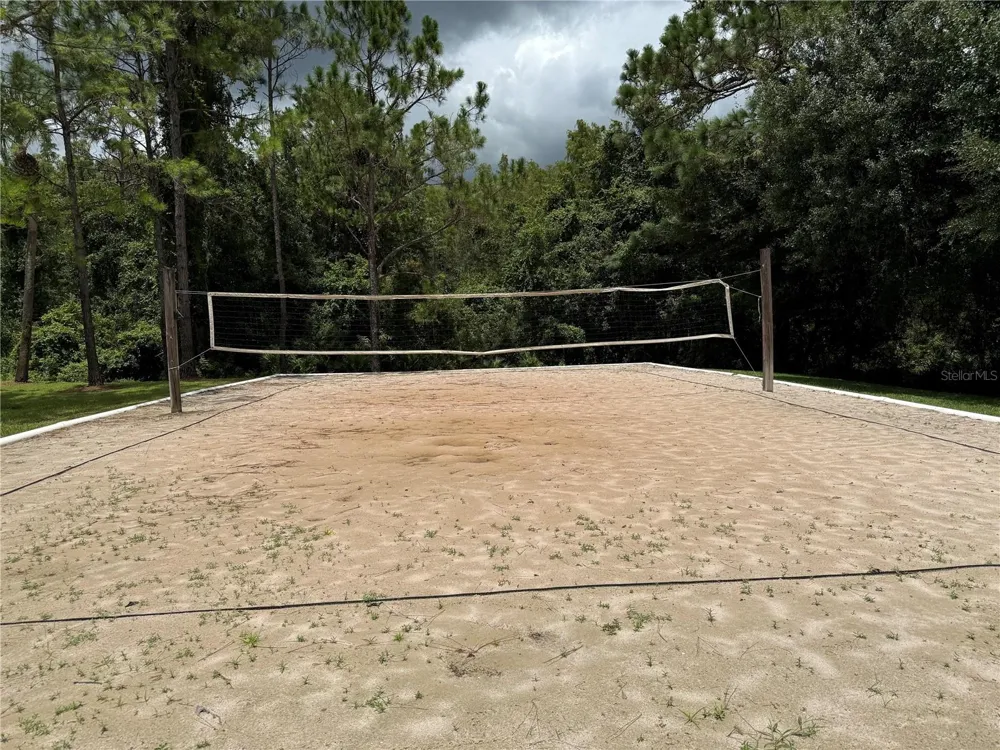 30316 ELDERWOOD DRIVE Wesley Chapel, FL 33543