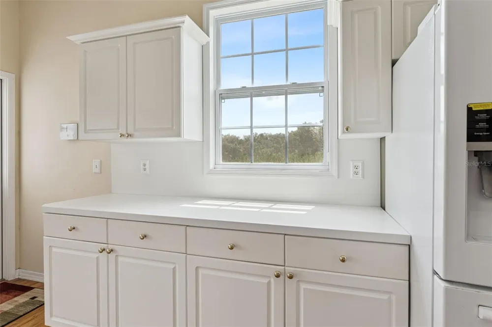 25895 TILLY HAWK LANE Brooksville, FL 34602