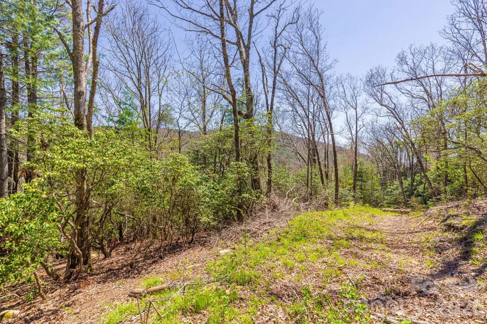9999 Fairview Forest Drive Fairview, NC 28730