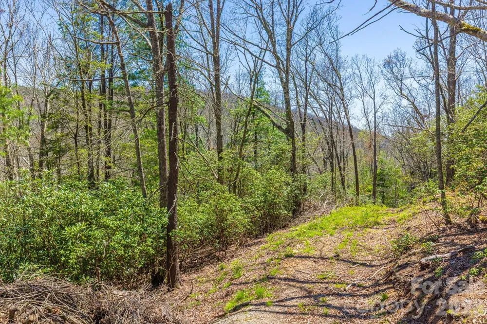 9999 Fairview Forest Drive Fairview, NC 28730