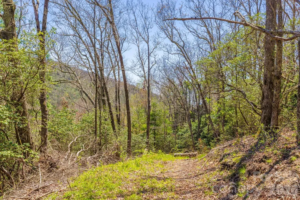 9999 Fairview Forest Drive Fairview, NC 28730