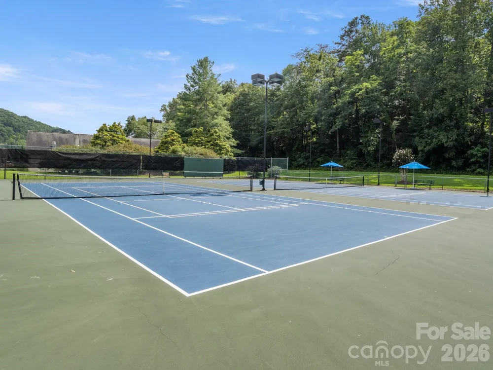 189 Cameron Lane Lake Lure, NC 28746