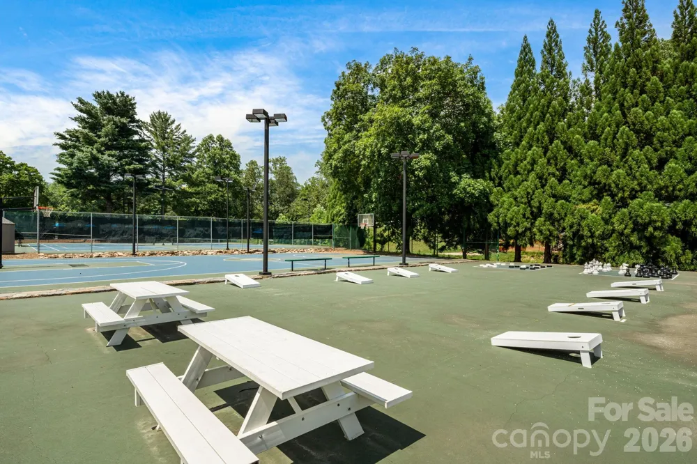189 Cameron Lane Lake Lure, NC 28746