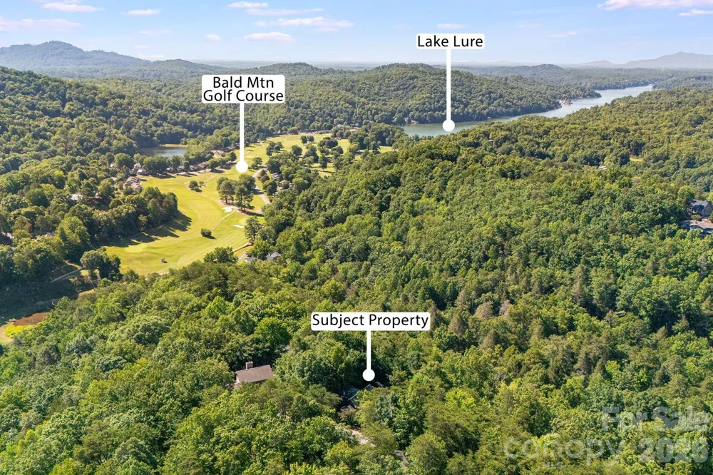 189 Cameron Lane Lake Lure, NC 28746
