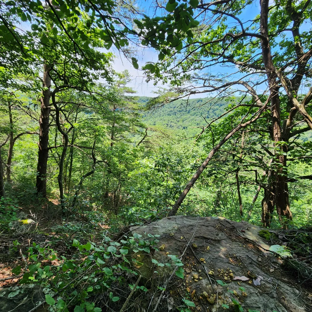 0 Eagle Point Drive Monteagle, TN 37356
