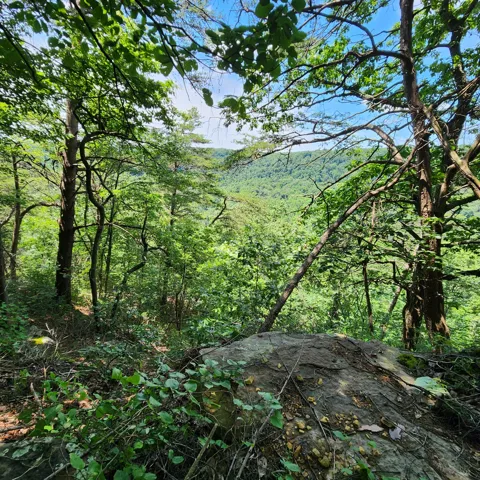 0 Eagle Point Drive