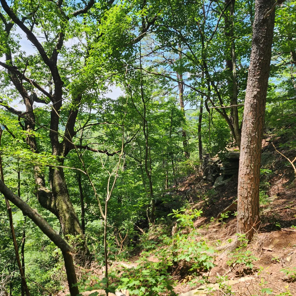 0 Eagle Point Drive Monteagle, TN 37356