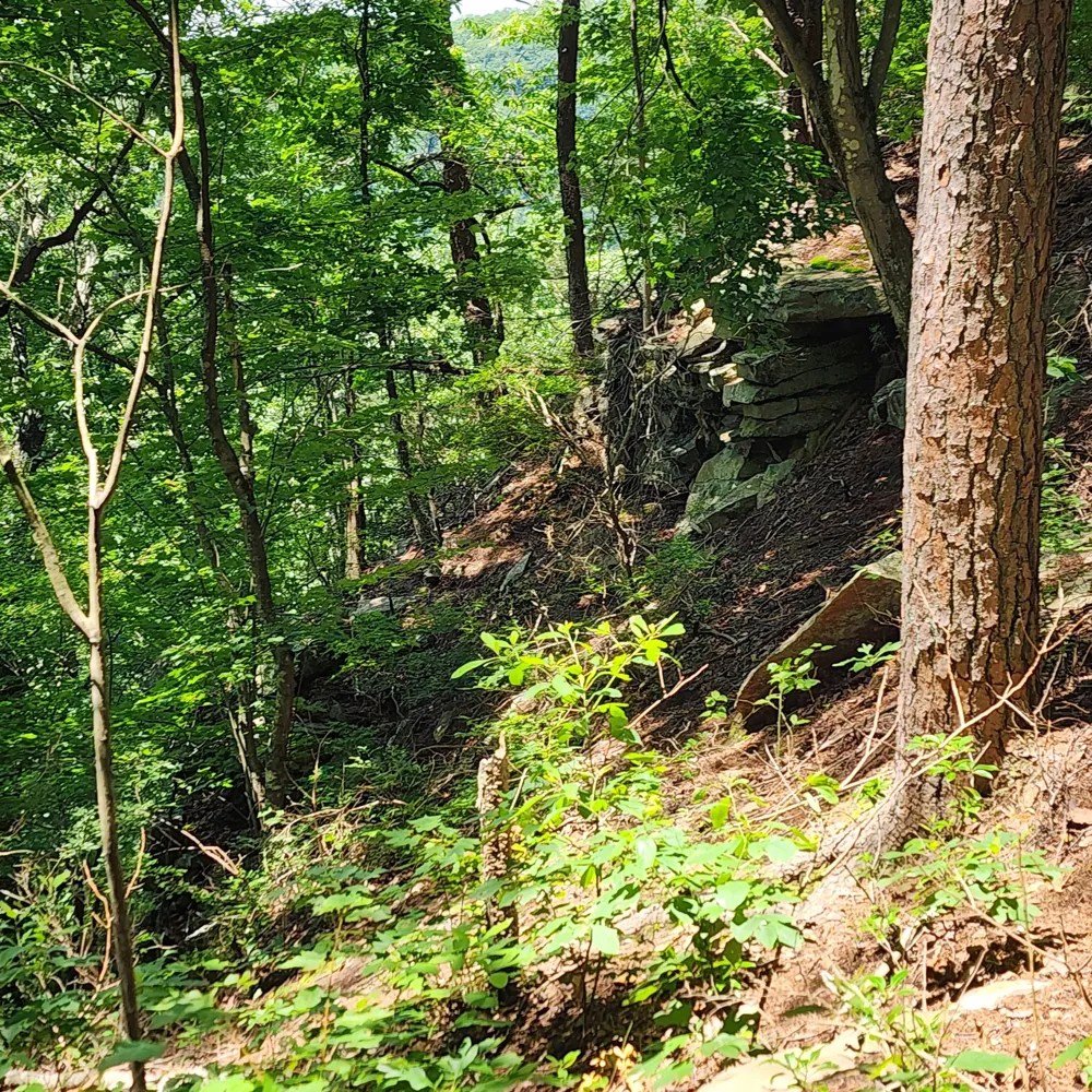 0 Eagle Point Drive Monteagle, TN 37356