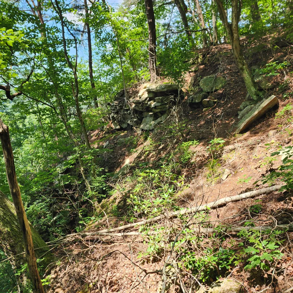 0 Eagle Point Drive Monteagle, TN 37356