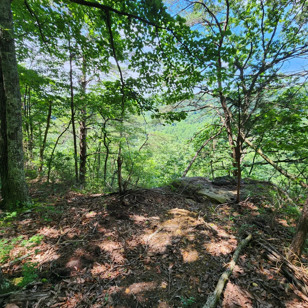 0 Eagle Point Drive Monteagle, TN 37356