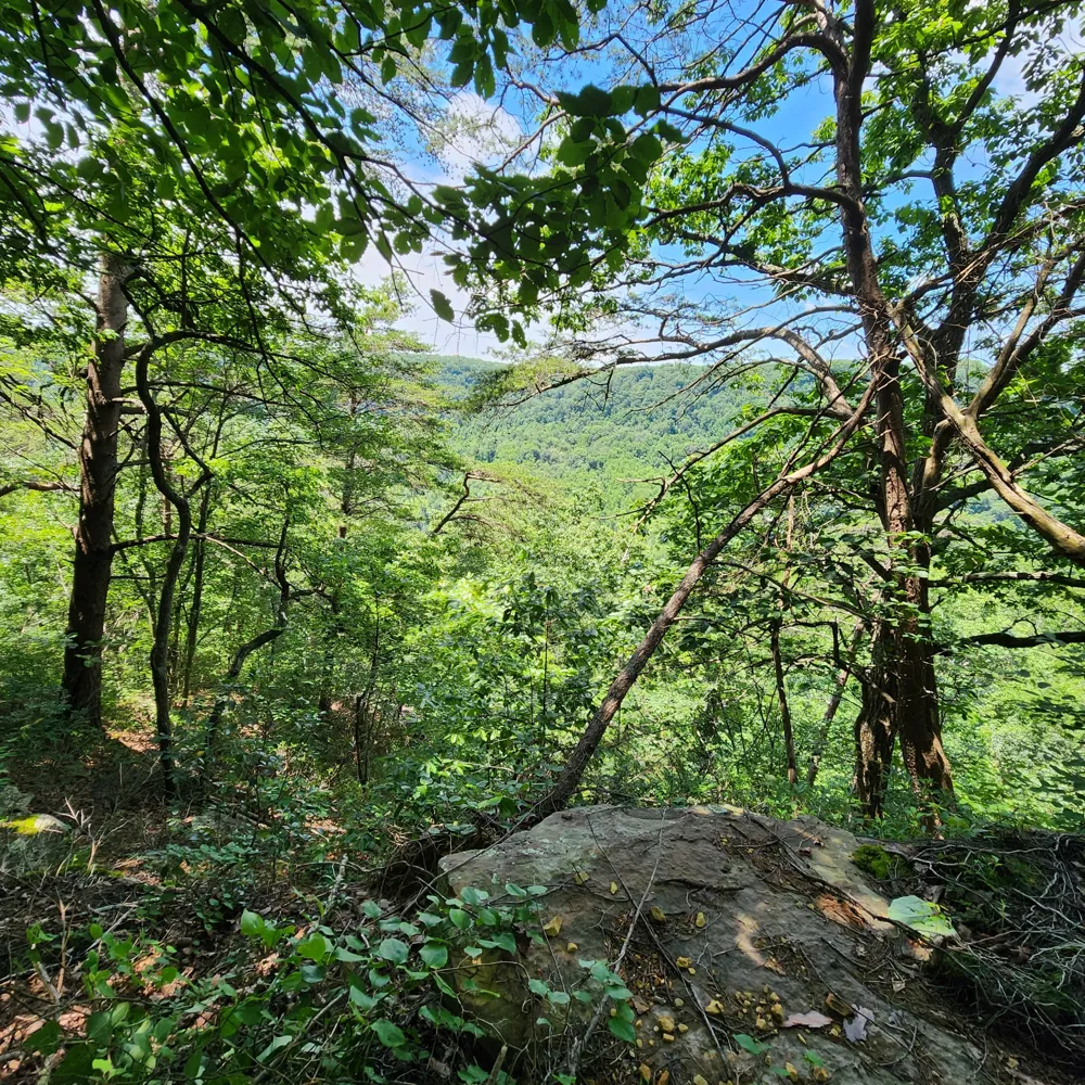 0 Eagle Point Drive Monteagle, TN 37356