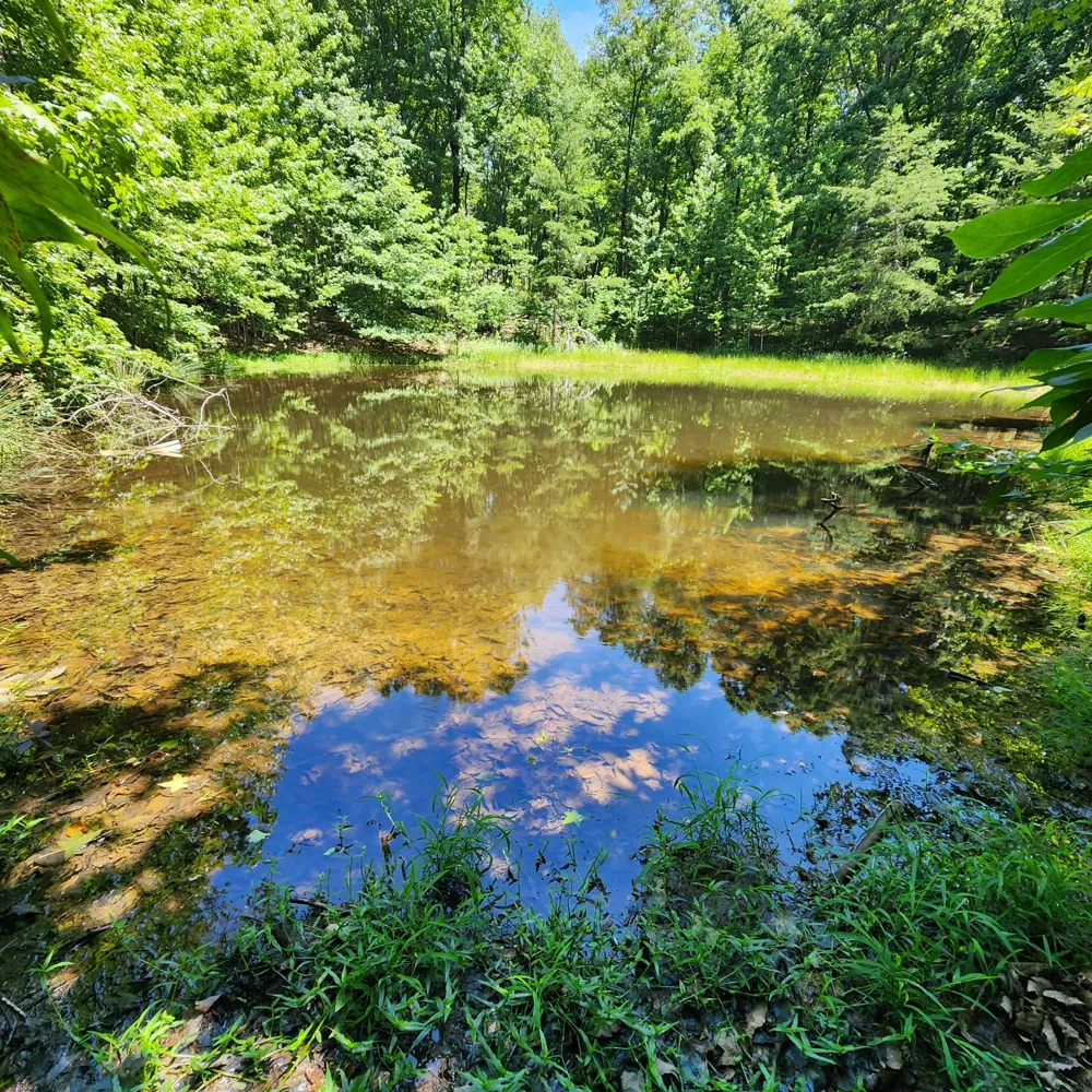 0 Eagle Point Drive Monteagle, TN 37356