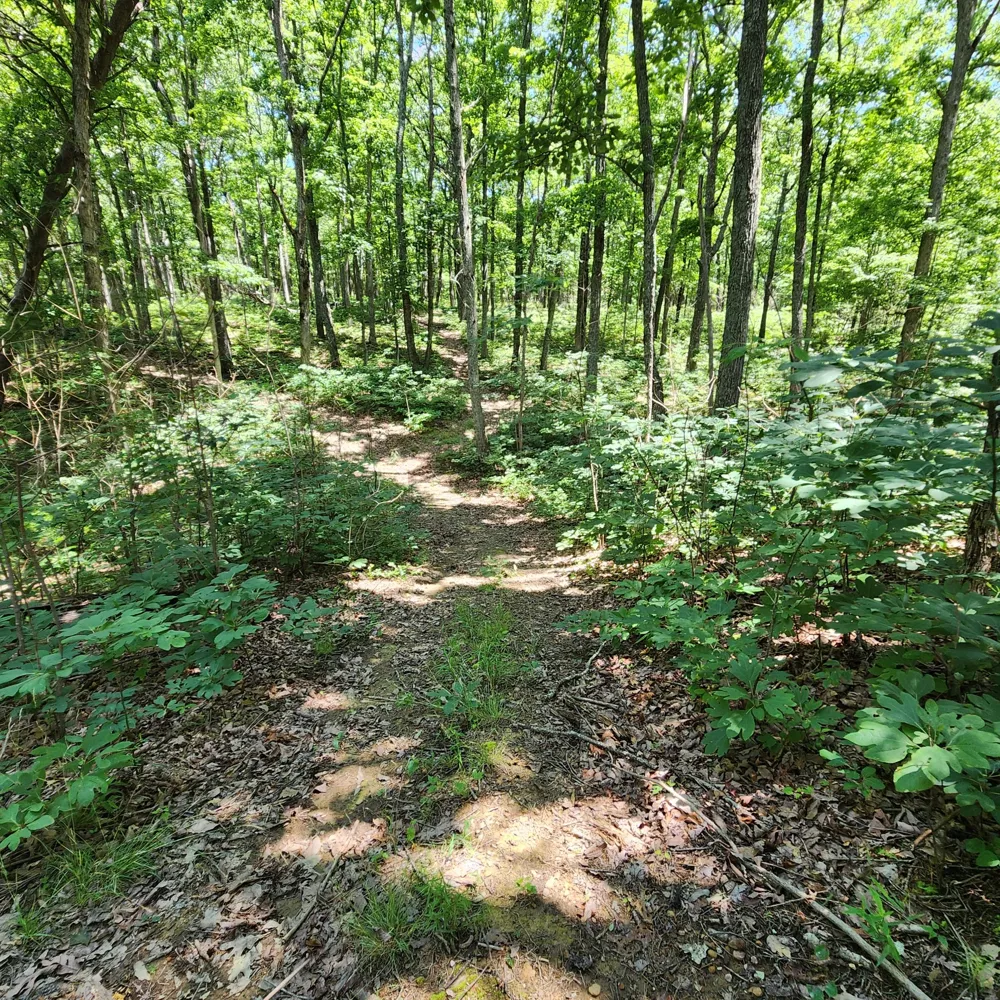 0 Eagle Point Drive Monteagle, TN 37356