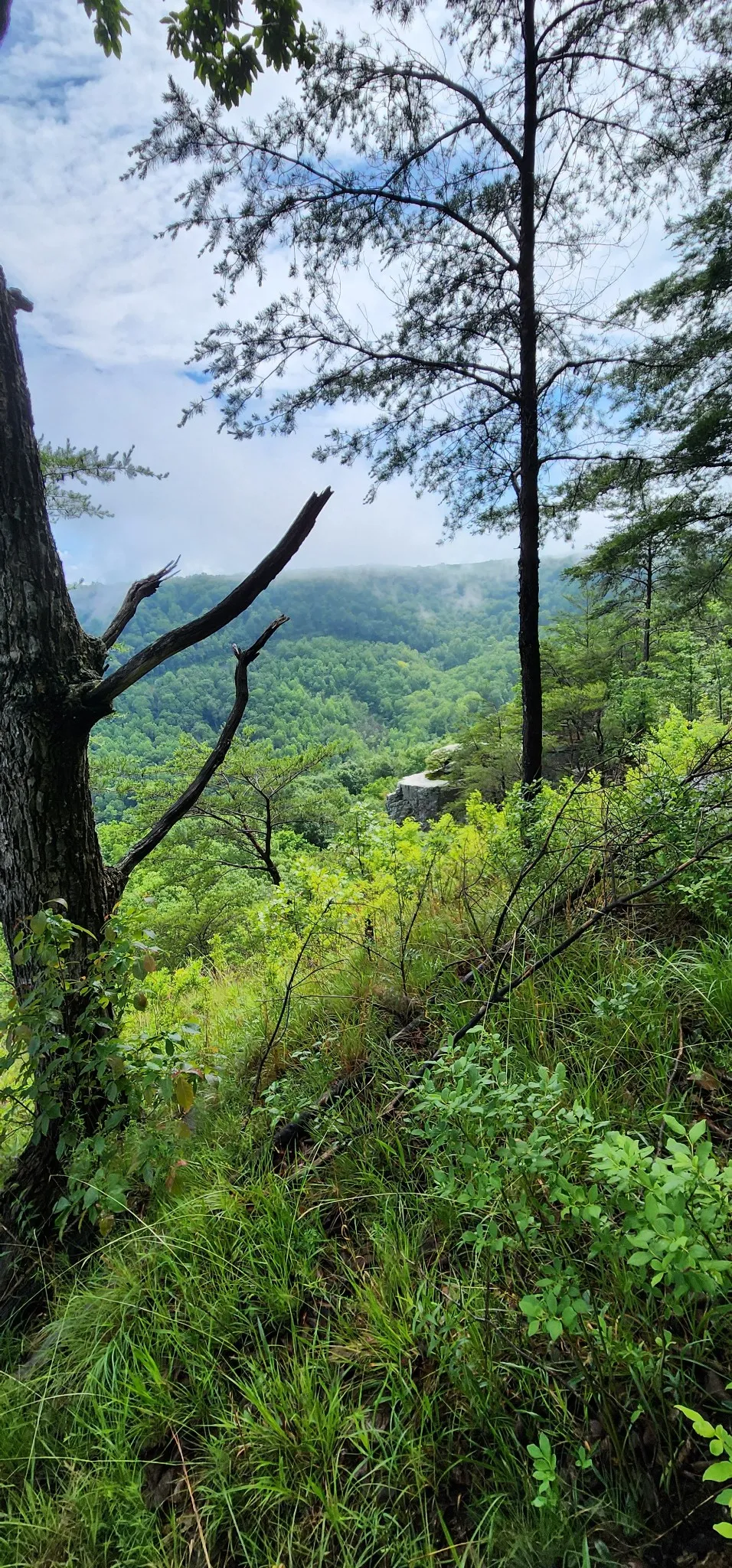 0 Eagle Point Drive Monteagle, TN 37356
