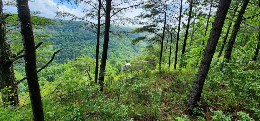 0 Eagle Point Drive Monteagle, TN 37356
