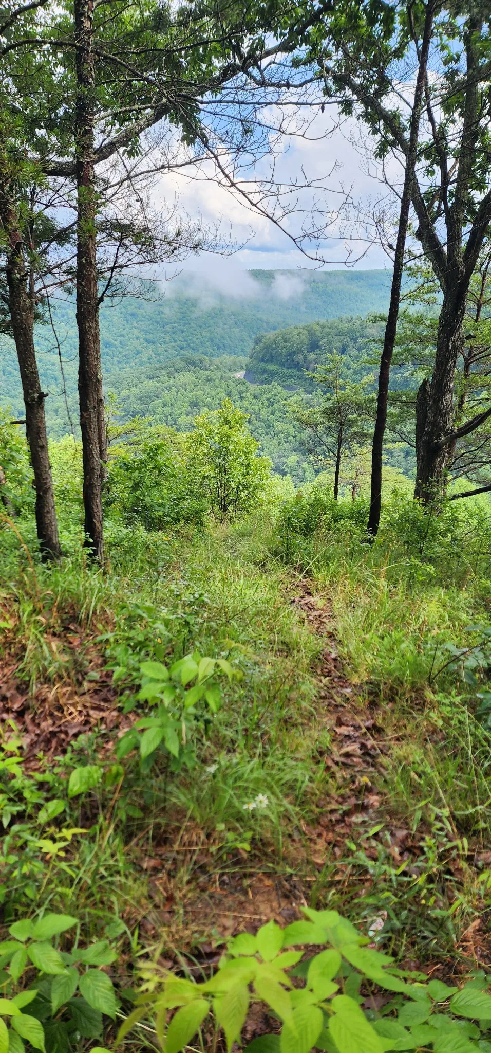 0 Eagle Point Drive Monteagle, TN 37356