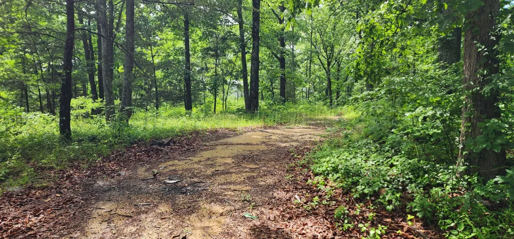 0 Eagle Point Drive Monteagle, TN 37356