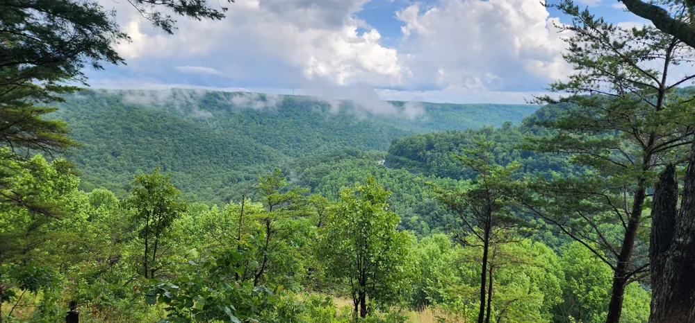 0 Eagle Point Drive Monteagle, TN 37356