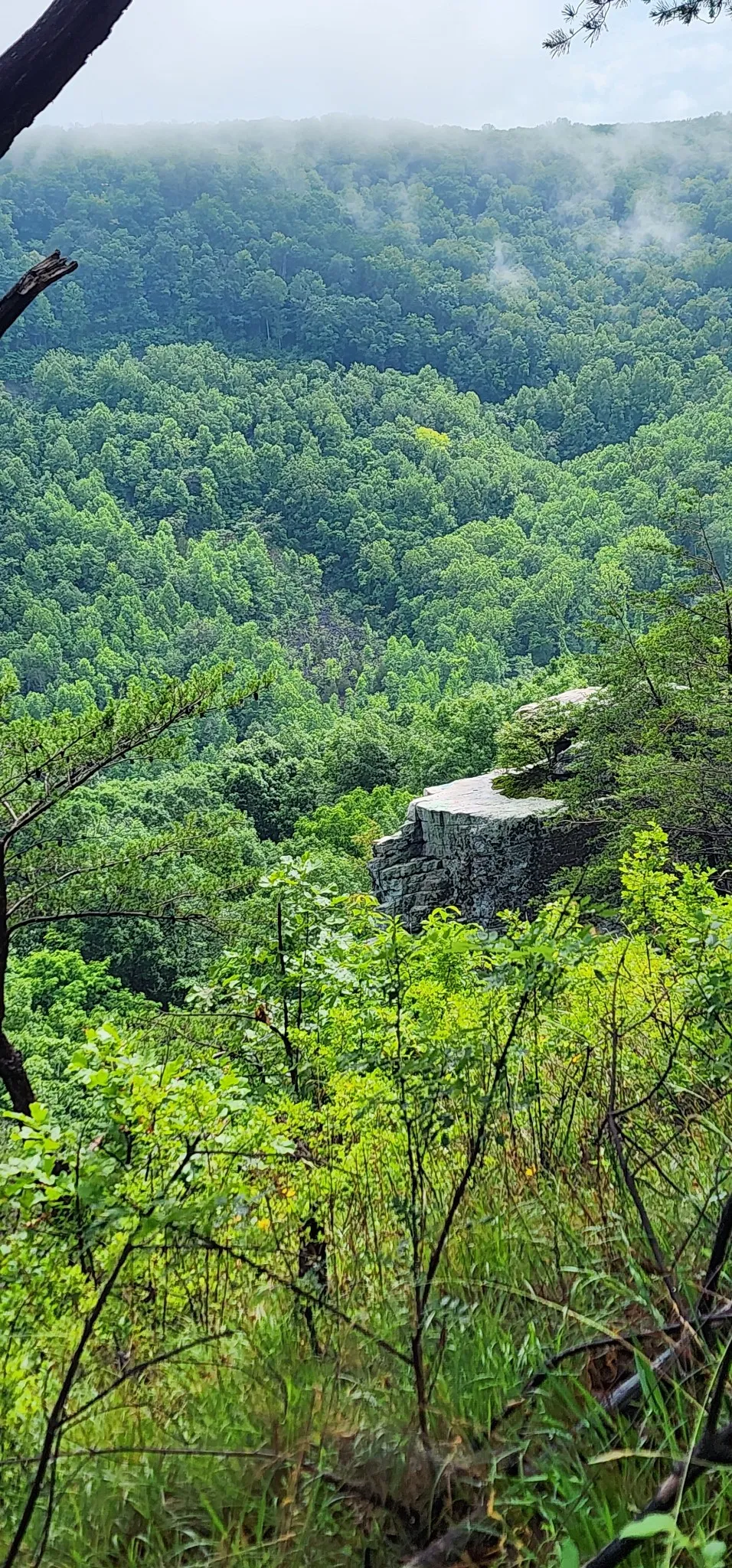 0 Eagle Point Drive Monteagle, TN 37356
