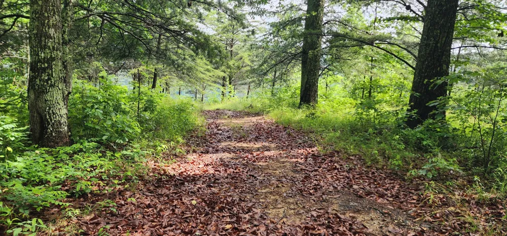 0 Eagle Point Drive Monteagle, TN 37356
