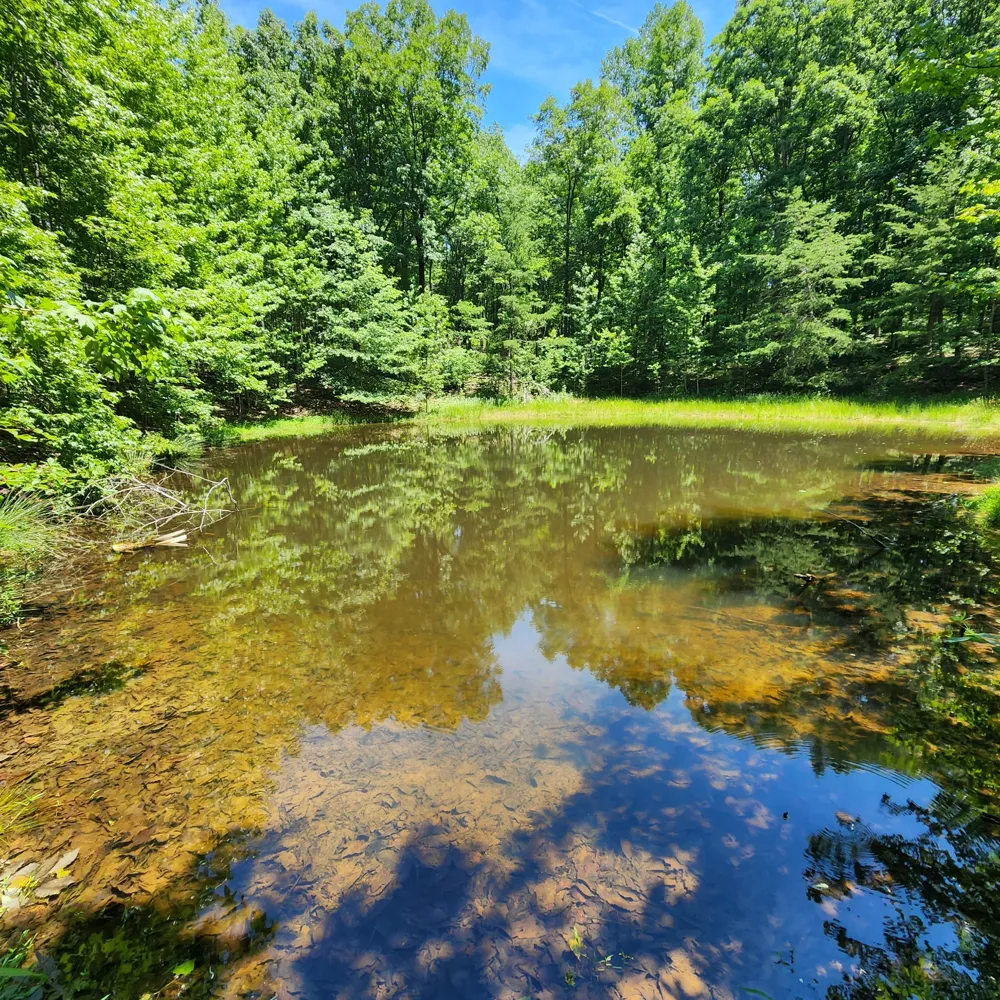 0 Eagle Point Drive Monteagle, TN 37356