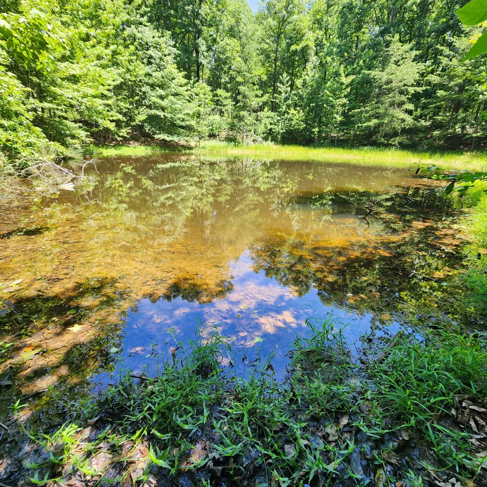0 Eagle Point Drive Monteagle, TN 37356