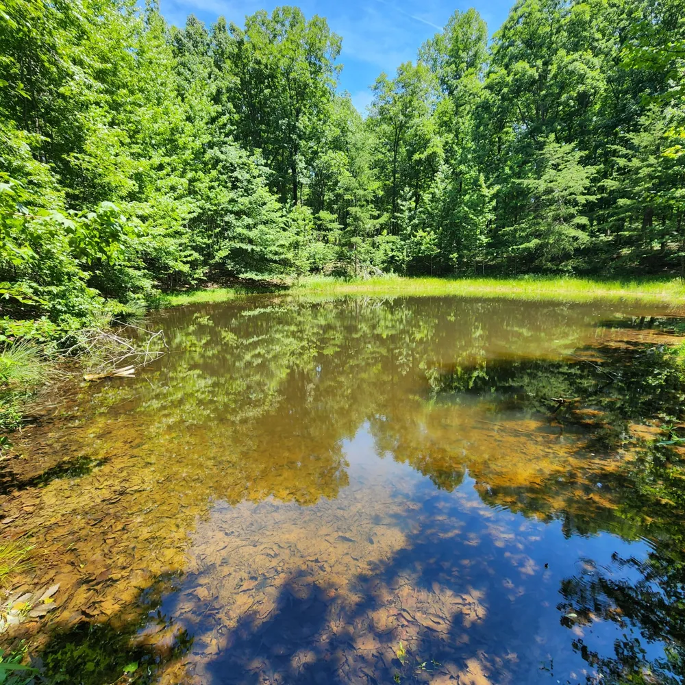 0 Eagle Point Drive Monteagle, TN 37356