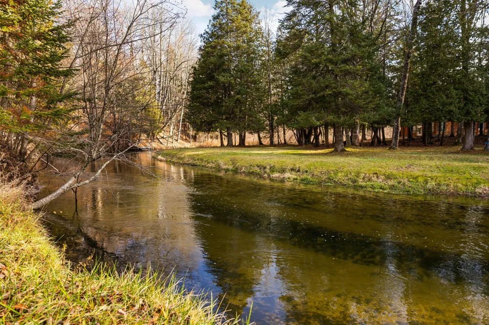 15445 Holly Drive Thompsonville, MI 49683