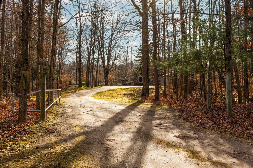 15445 Holly Drive Thompsonville, MI 49683