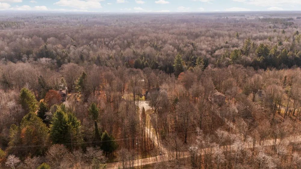 15445 Holly Drive Thompsonville, MI 49683
