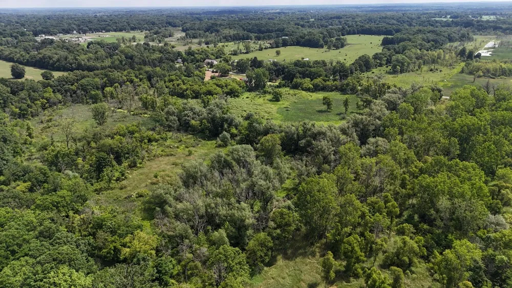 9500 Meridian Road Henrietta Township, MI 49272
