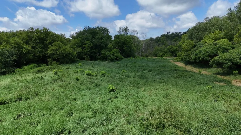 9500 Meridian Road Henrietta Township, MI 49272