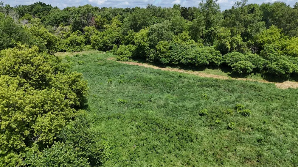 9500 Meridian Road Henrietta Township, MI 49272