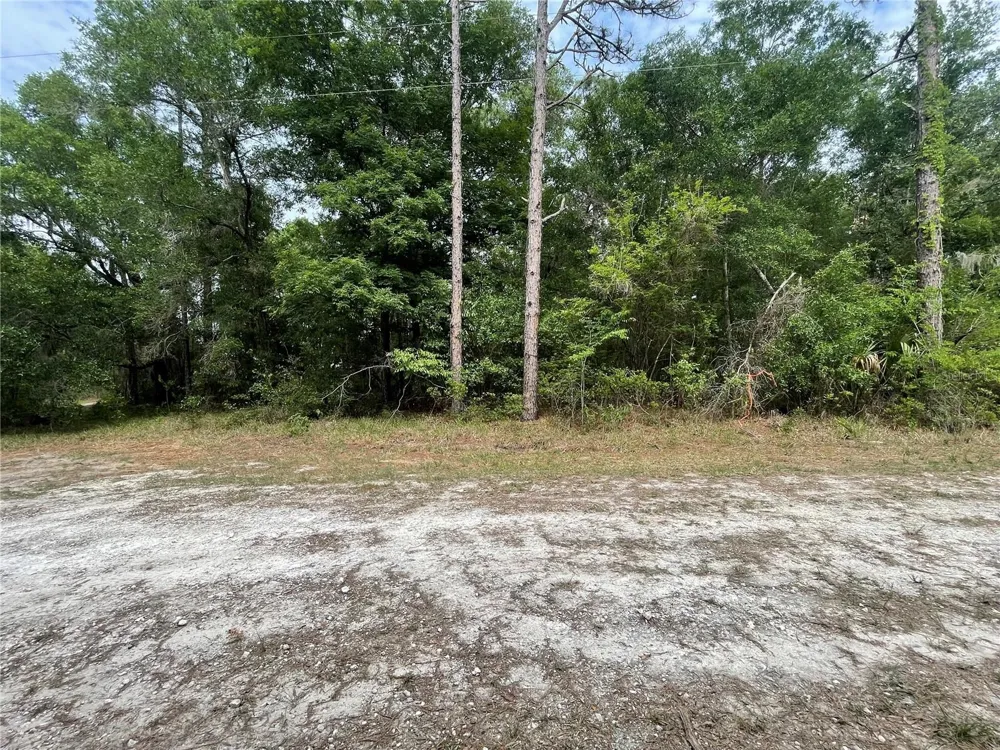 16486 CURLEW ROAD Brooksville, FL 34614
