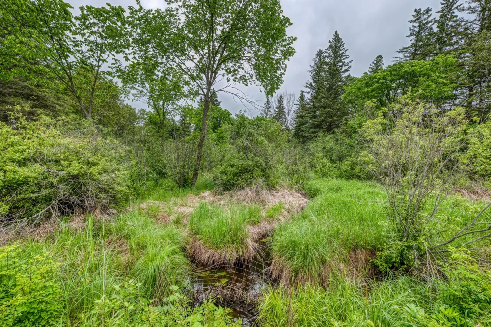 24058 County 2 Shevlin, MN 56676