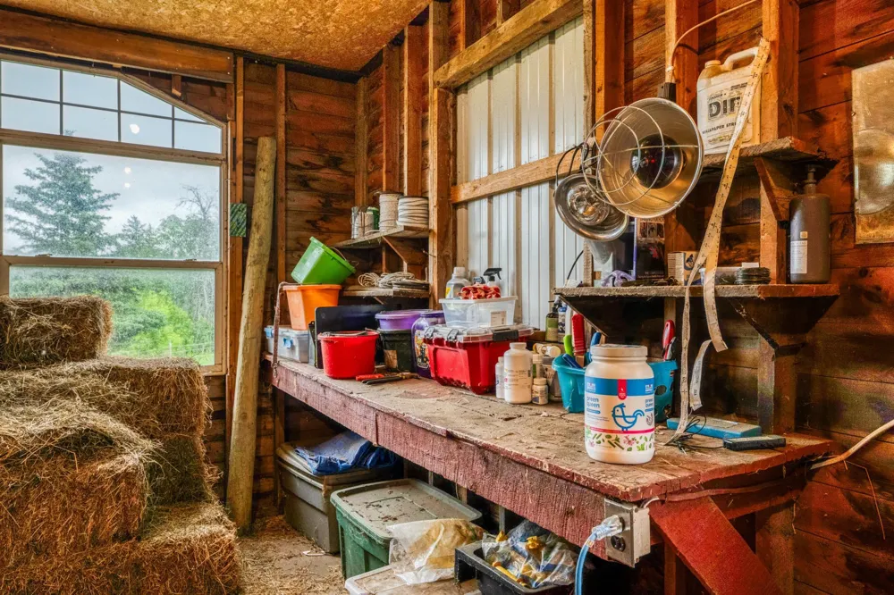 24058 County 2 Shevlin, MN 56676