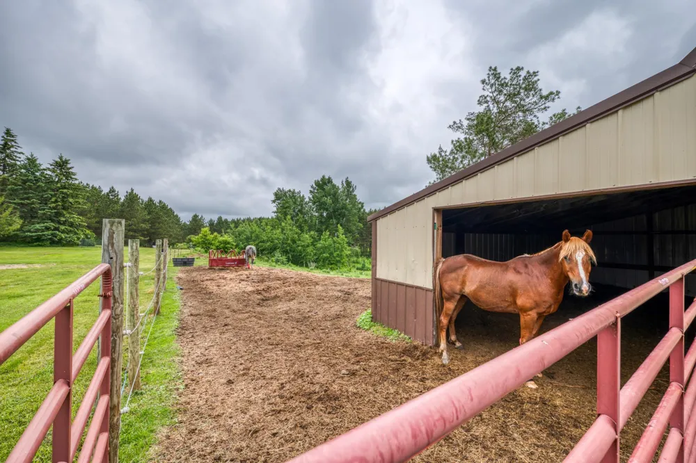 24058 County 2 Shevlin, MN 56676