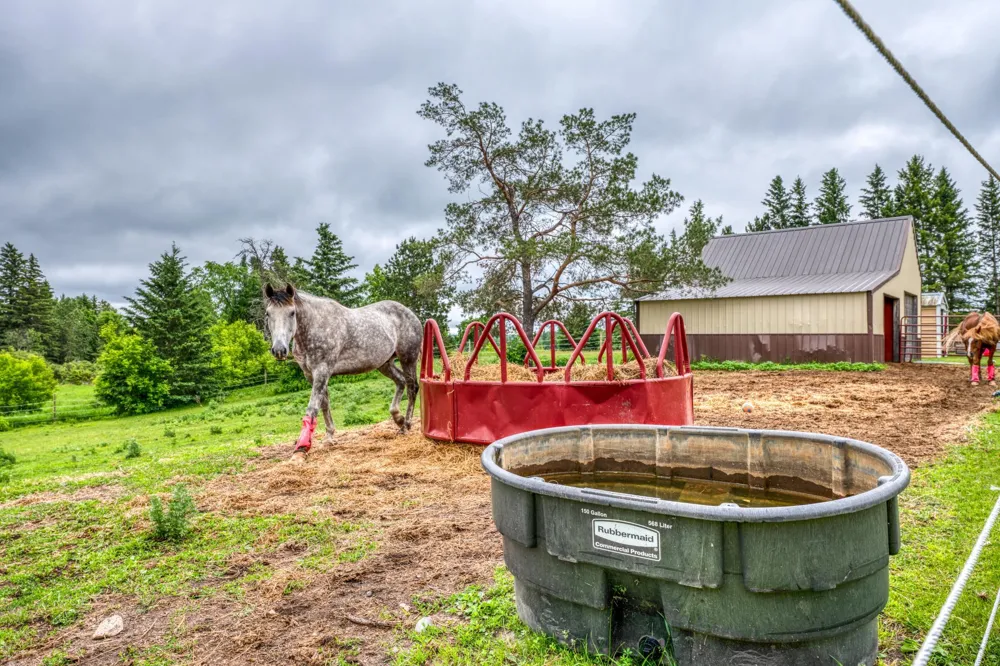 24058 County 2 Shevlin, MN 56676