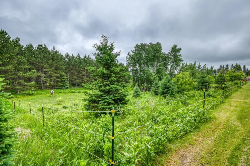 24058 County 2 Shevlin, MN 56676
