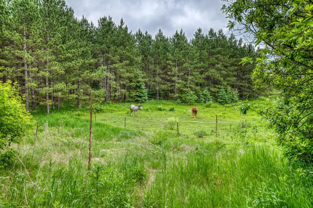 24058 County 2 Shevlin, MN 56676