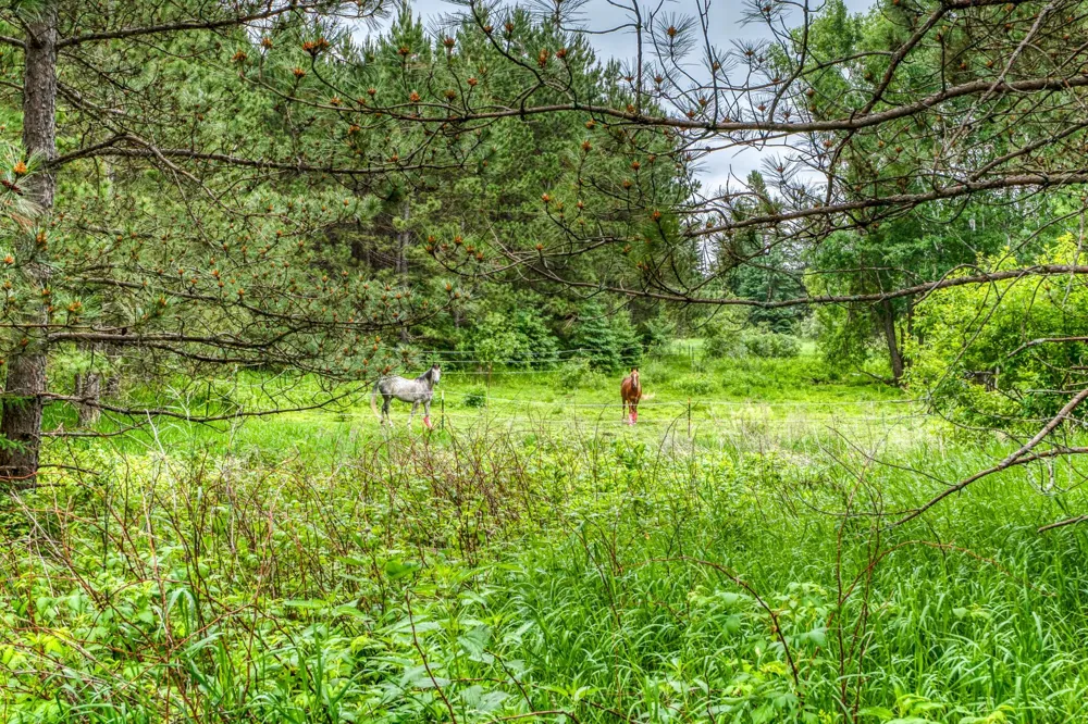 24058 County 2 Shevlin, MN 56676