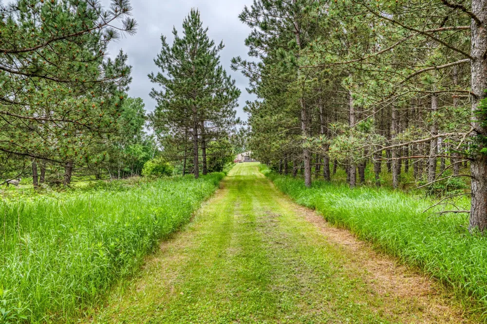 24058 County 2 Shevlin, MN 56676
