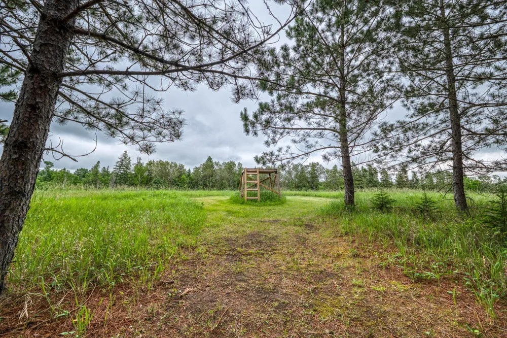 24058 County 2 Shevlin, MN 56676