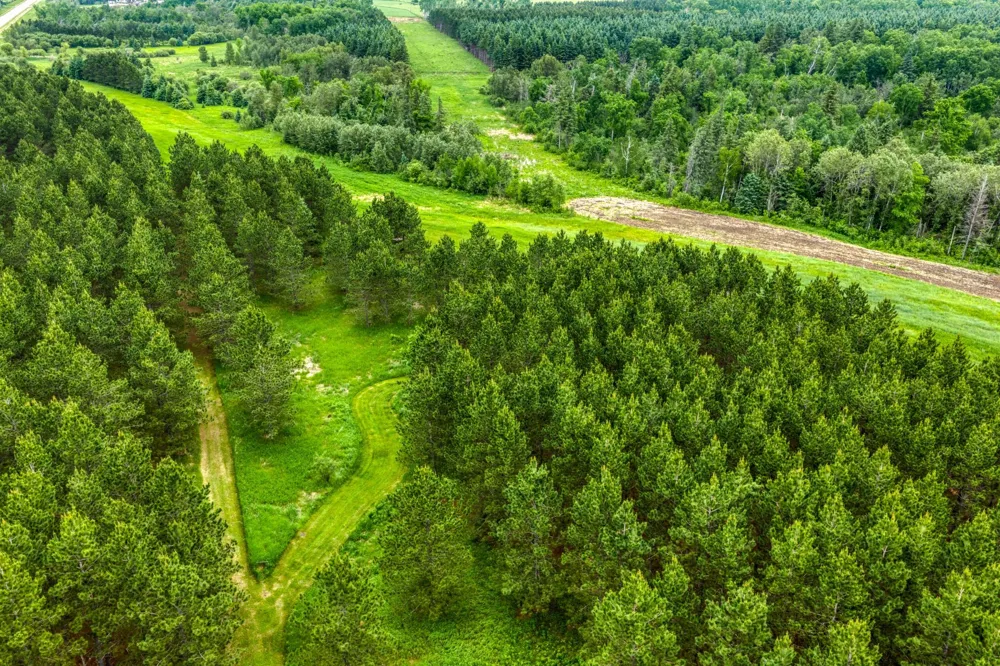 24058 County 2 Shevlin, MN 56676