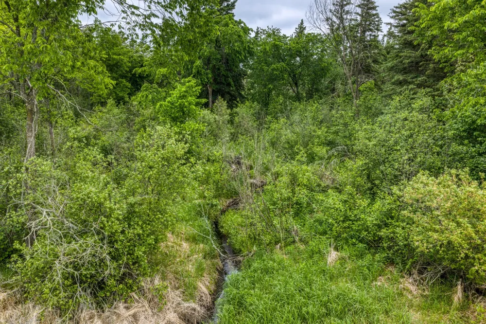 24058 County 2 Shevlin, MN 56676