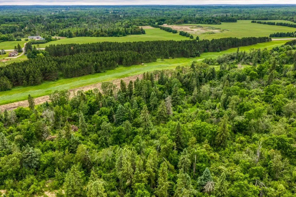24058 County 2 Shevlin, MN 56676