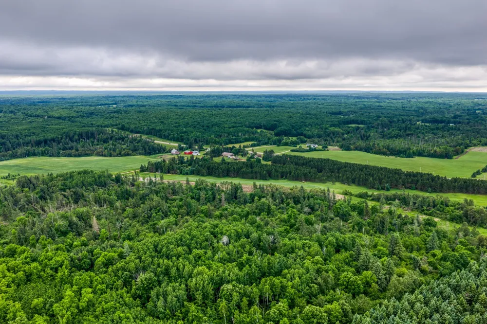 24058 County 2 Shevlin, MN 56676