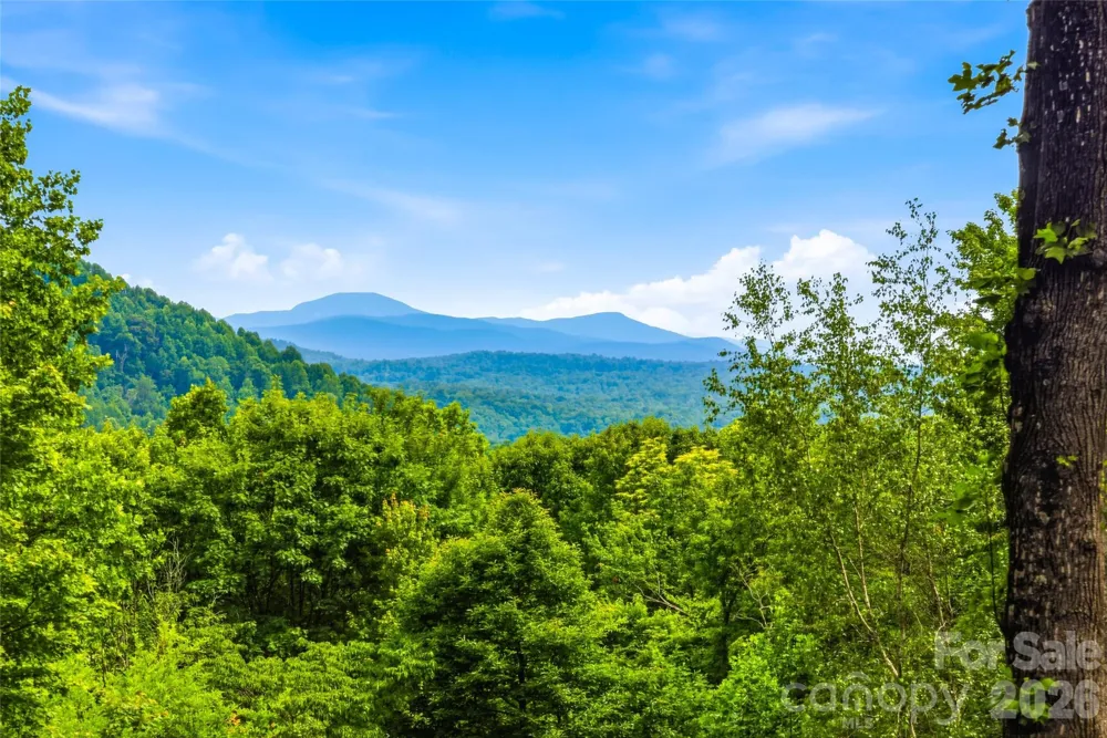 233 Tanglewood Lane Saluda, NC 28773