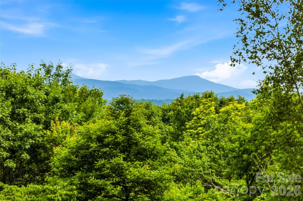 233 Tanglewood Lane Saluda, NC 28773